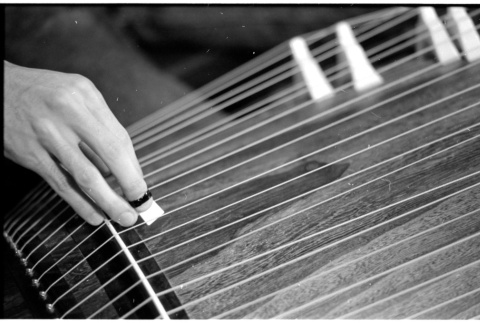 Closeup shot of koto playing (ddr-densho-1007-1319)