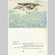 Card from April Sasaki to Loni Ding (ddr-densho-1007-1502)