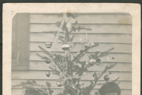 Two girls by Christmas tree (ddr-densho-293-108)