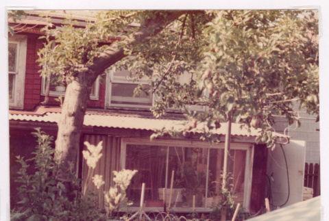 Picture of house (ddr-densho-477-444)