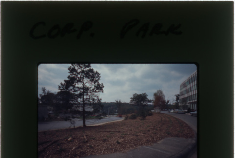 Landscaping at the Schulman Corp. Park project (ddr-densho-377-1009)