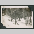 Hisako Nagai in snow (ddr-densho-550-156)