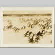 Libyan colonial cavalrymen riding on horseback (ddr-njpa-13-664)
