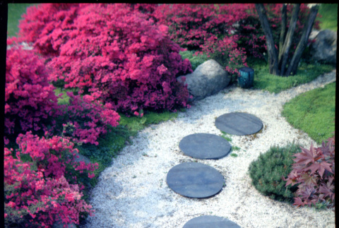 Stone path and landscaping (ddr-densho-377-1479)