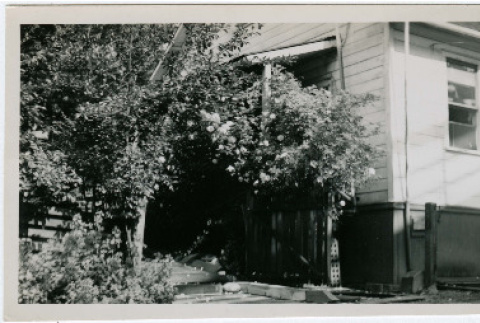 House with flower bower (ddr-densho-26-233)