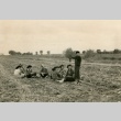 Camp inmates working in a field (ddr-densho-159-92)