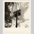 View of a power line pole (ddr-densho-542-855)