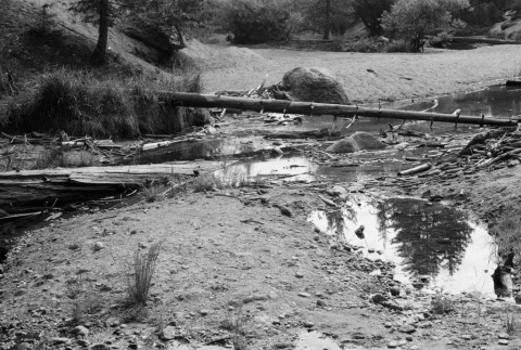 Logs across a creek (ddr-densho-336-426)