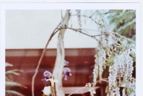 Photo front and back (ddr-densho-534-134-mezzanine-7a3b7c3edd)