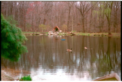 Pound with gazebo and geese (ddr-densho-377-2593)