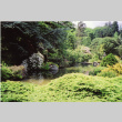 Japanese Garden (ddr-densho-354-1612)