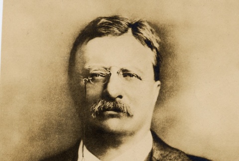 Theodore Roosevelt (ddr-njpa-1-1678)