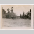 Landscape of Wrightwood (ddr-densho-325-321)