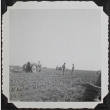 Farmers in the field (ddr-densho-300-500)