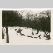 Rock waterway covered in snow (ddr-densho-377-2034)