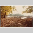 Muddy path (ddr-densho-377-2077)