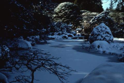 Japanese Garden in the snow (ddr-densho-354-929)