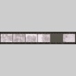 Negative film strip for Farewell to Manzanar scene stills (ddr-densho-317-57)
