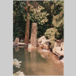 Pond and waterfall at the Teich project (ddr-densho-377-248)