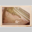 Garden from above (ddr-densho-377-2179)
