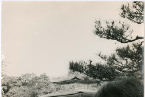 Photo, front and back (ddr-densho-426-1077-mezzanine-c7d803297e)