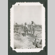 Three men working in a field (ddr-densho-471-194)