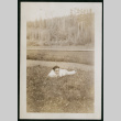Man laying in field (ddr-densho-359-671)