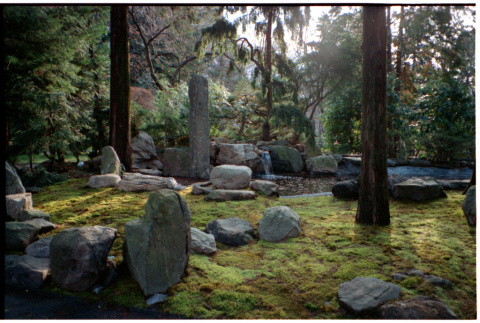 Rock garden (ddr-densho-377-2360)