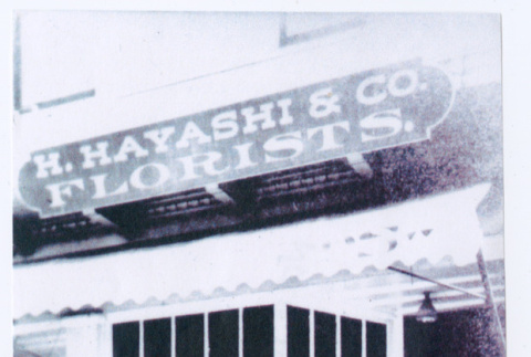 H. Hayashi & Co Floral shop (ddr-densho-441-12)