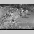 Children playing in a stream (ddr-densho-153-267)
