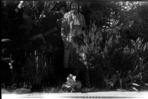 A woman stands behind bushes (ddr-densho-480-61)