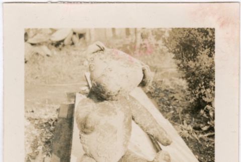 Teddy bear on pile of lumber (ddr-densho-426-1434)