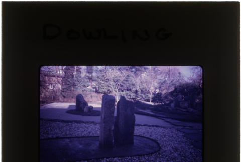Garden at the Dowling project (ddr-densho-377-692)
