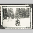 Mr. Hanamoto with a baseball glove (ddr-densho-542-389)
