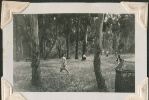 Children play among trees (ddr-densho-321-222)