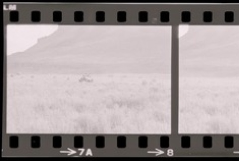 Negative film strip for Farewell to Manzanar scene stills (ddr-densho-317-76)