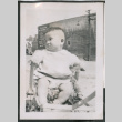 Photo of a baby in a wagon (ddr-densho-483-783)