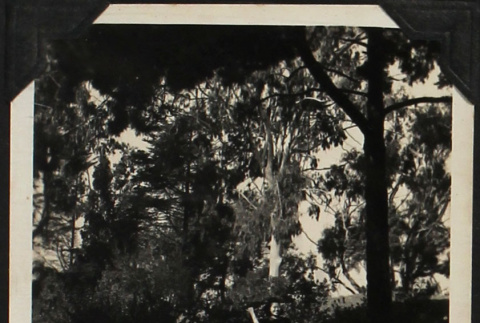 Tomoye (Nozawa) Takahashi walking along road (ddr-densho-423-549)