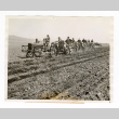 Planting potatoes at Tule Lake (ddr-csujad-52-25)