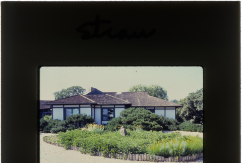 View of a home and garden at the Straus project (ddr-densho-377-595)