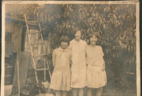 Three girls by trees (ddr-densho-316-302)