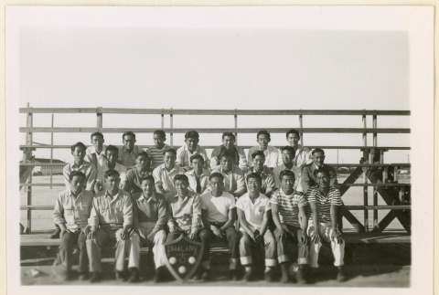 Phalanx group on bleachers (ddr-densho-37-1027)