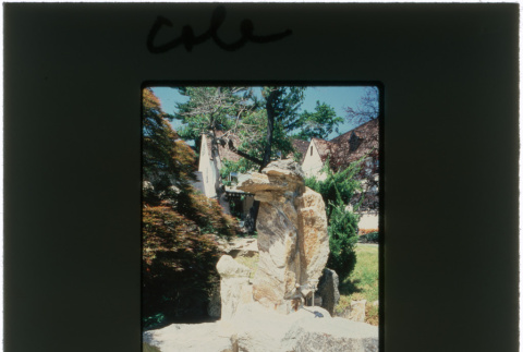 Rock garden at the Cole project (ddr-densho-377-398)