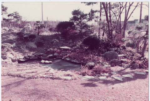 Garden with pond (ddr-densho-534-70)