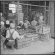 Japanese Americans sorting turnips (ddr-densho-37-315)