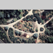 Aerial view of Garden (ddr-densho-354-1039)