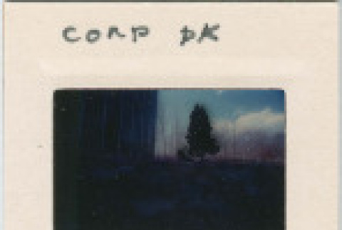 Front and back (ddr-densho-377-1023-mezzanine-aaf196d0ac)