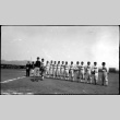 A baseball team lined up on a field (ddr-densho-480-11)