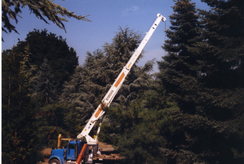 Crane on site of Stroll Garden construction (ddr-densho-354-1822)