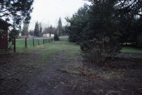 Pathway along fence on north property line (ddr-densho-354-1381)